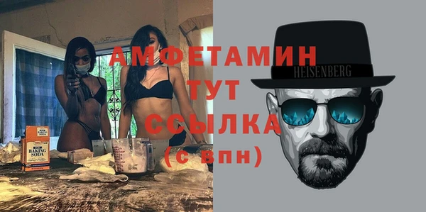 шишки Осинники