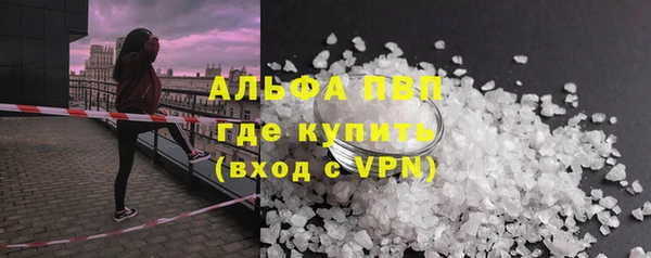 шишки Осинники