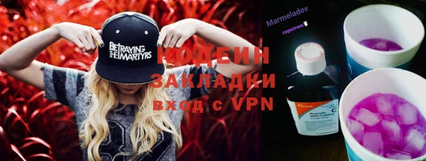 шишки Осинники